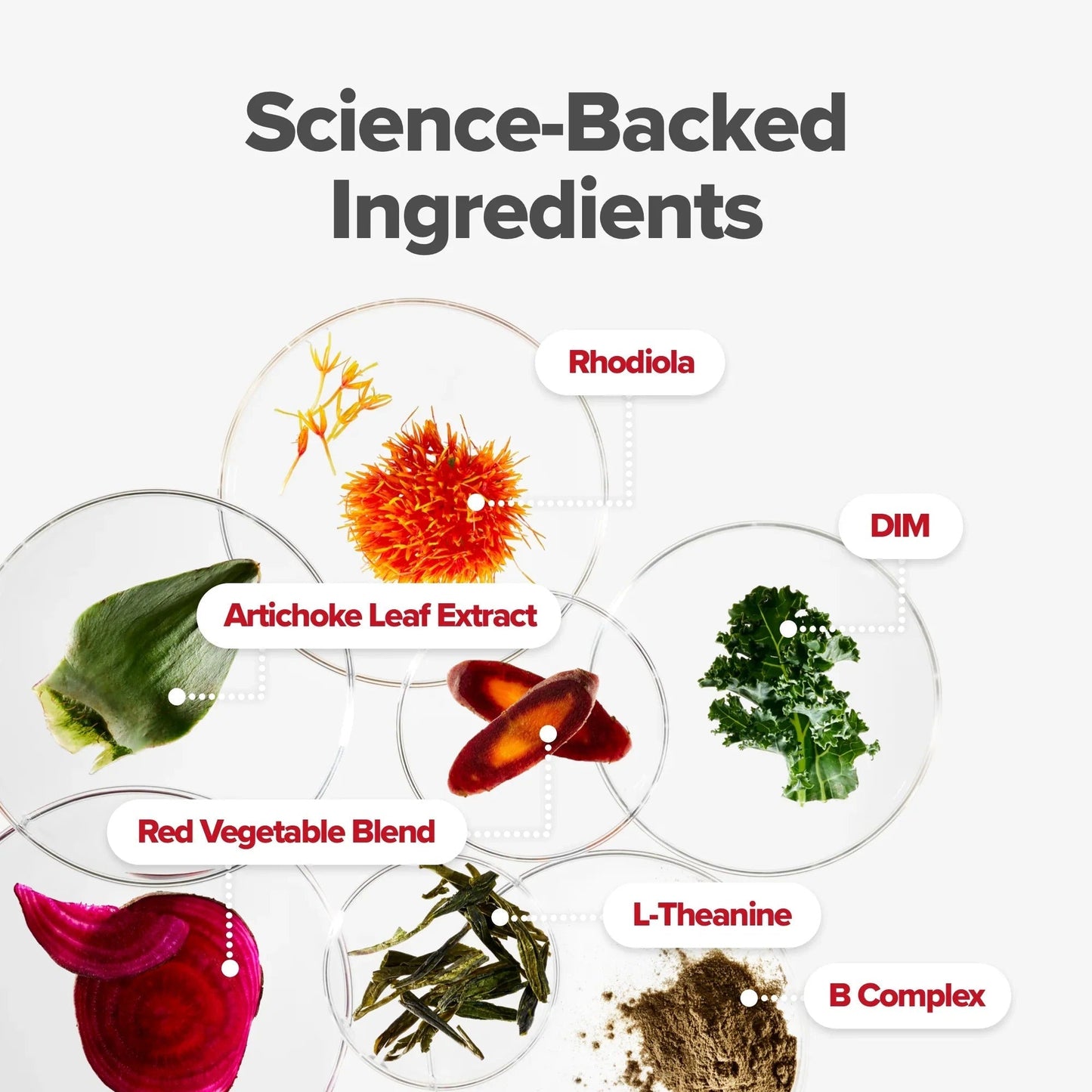 Women’s Wellness Superfood Blend